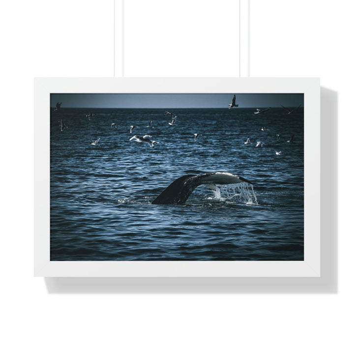 Feeding Tail - Framed Print - Visiting This World