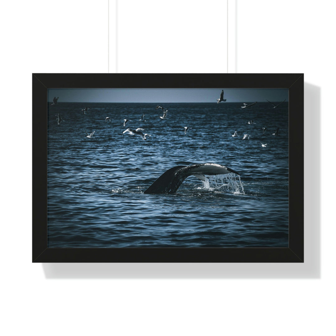 Feeding Tail - Framed Print - Visiting This World