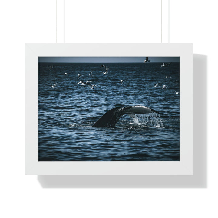 Feeding Tail - Framed Print - Visiting This World