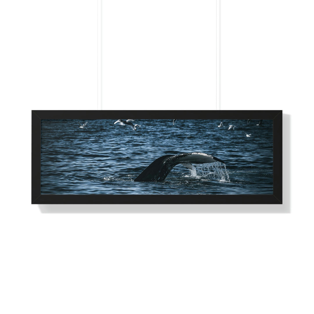 Feeding Tail - Framed Print - Visiting This World