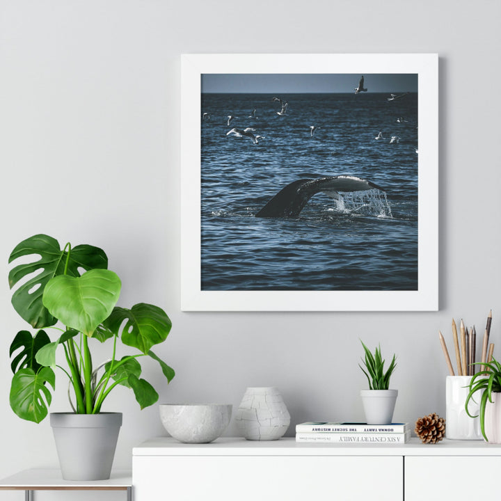 Feeding Tail - Framed Print - Visiting This World