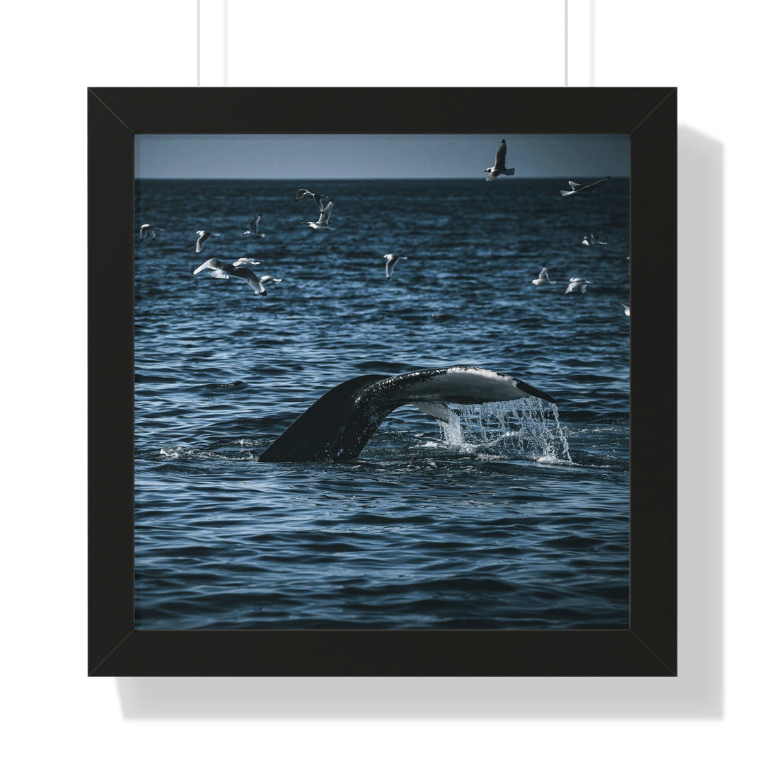 Feeding Tail - Framed Print - Visiting This World