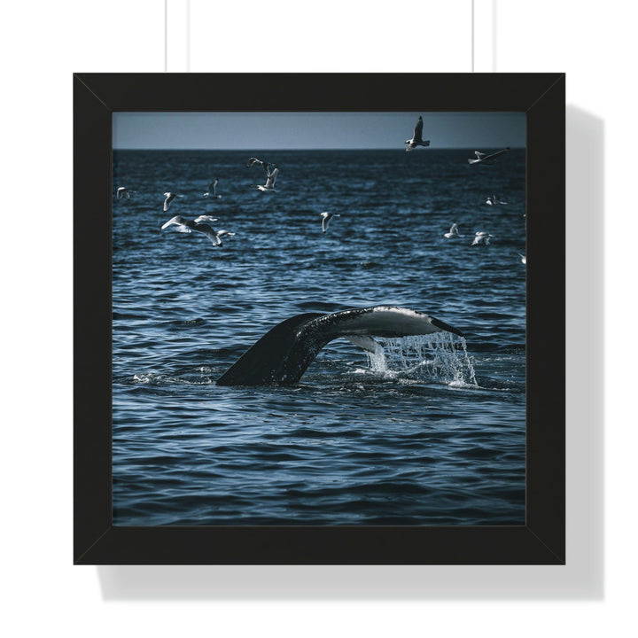 Feeding Tail - Framed Print - Visiting This World