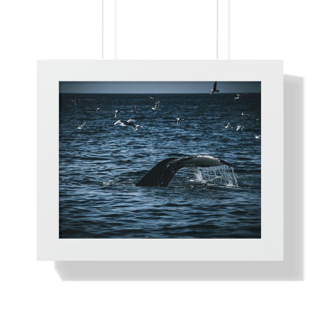 Feeding Tail - Framed Print - Visiting This World