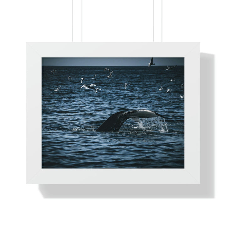 Feeding Tail - Framed Print - Visiting This World