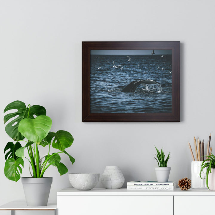 Feeding Tail - Framed Print - Visiting This World