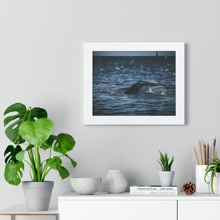 Feeding Tail - Framed Print - Visiting This World