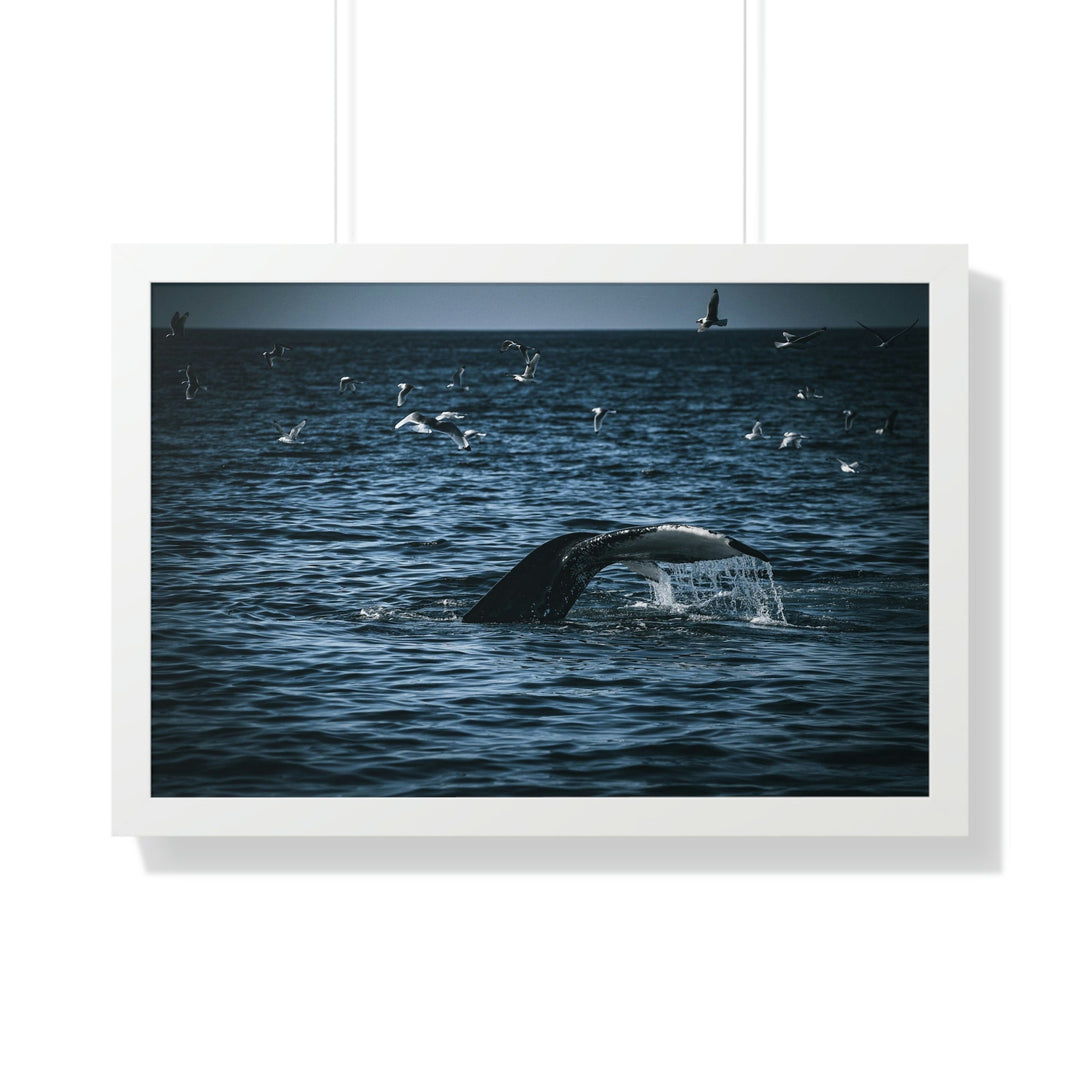 Feeding Tail - Framed Print - Visiting This World