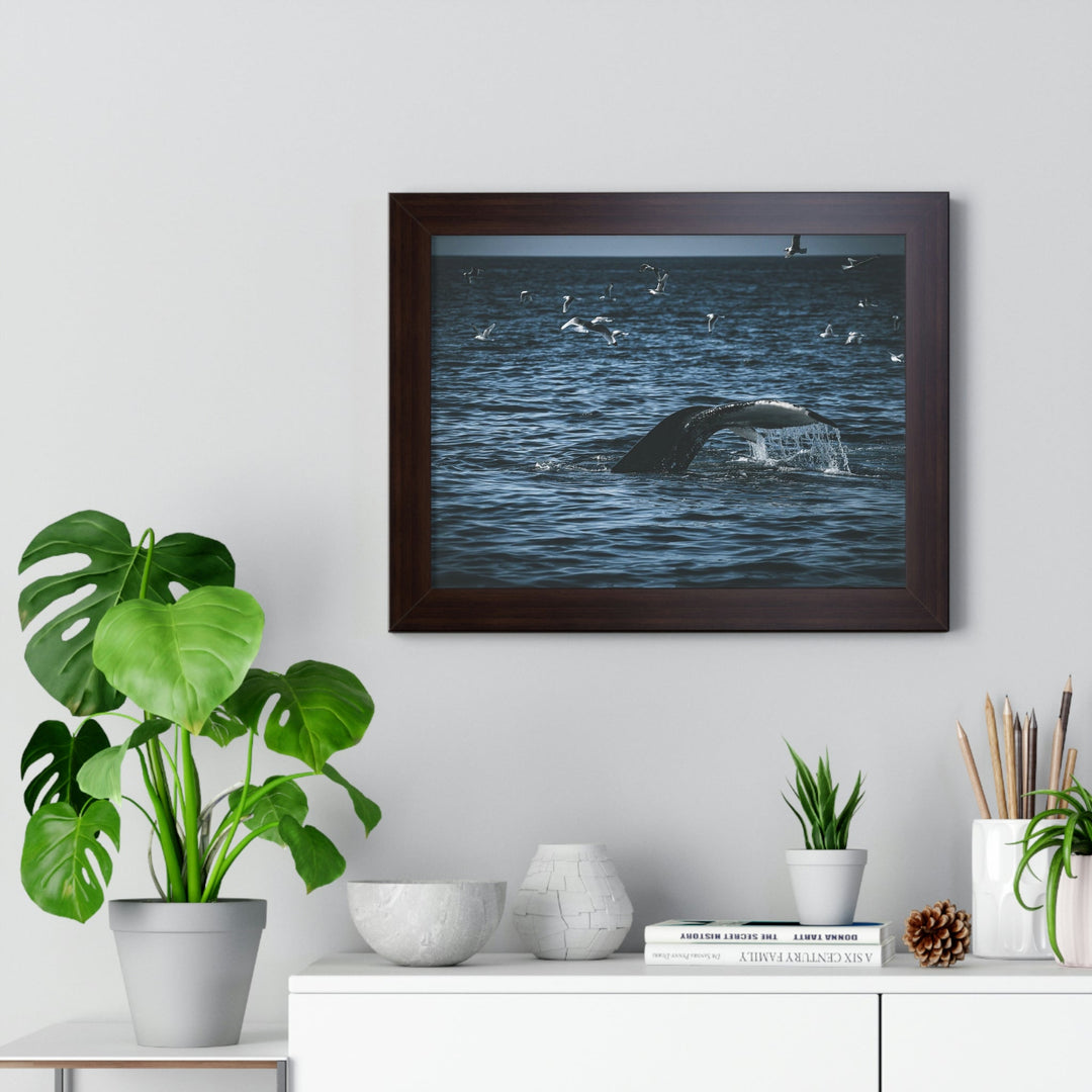 Feeding Tail - Framed Print - Visiting This World