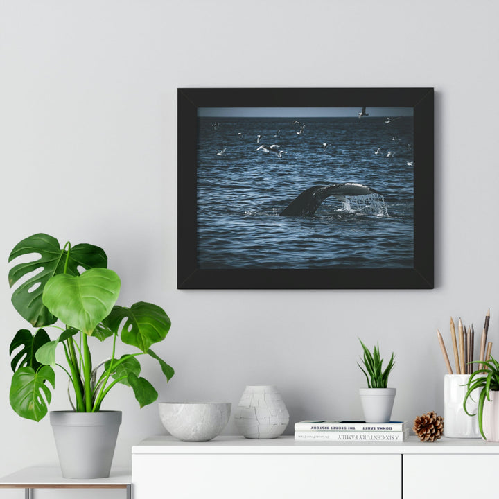 Feeding Tail - Framed Print - Visiting This World