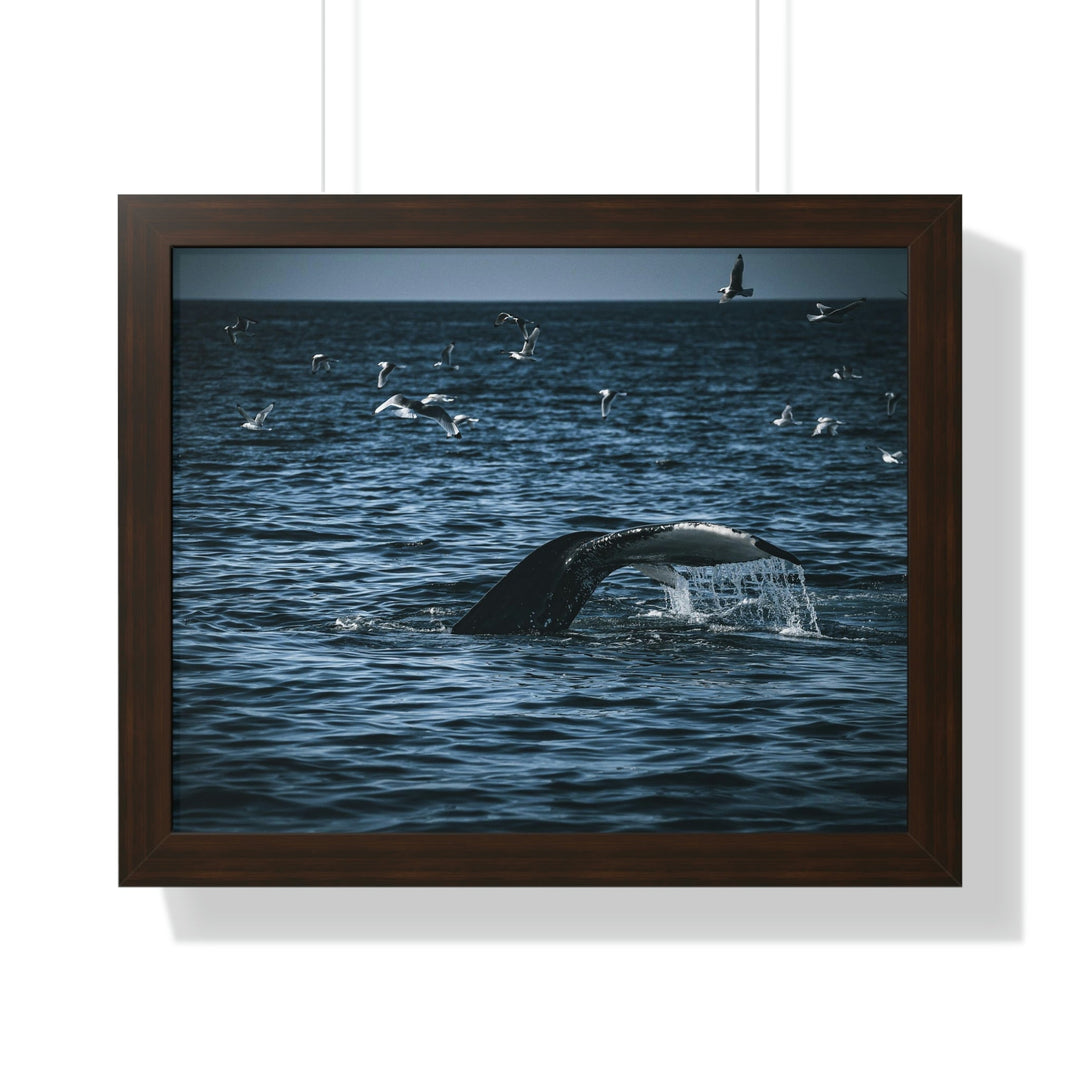 Feeding Tail - Framed Print - Visiting This World