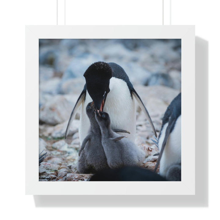 Feeding Time - Framed Print - Visiting This World