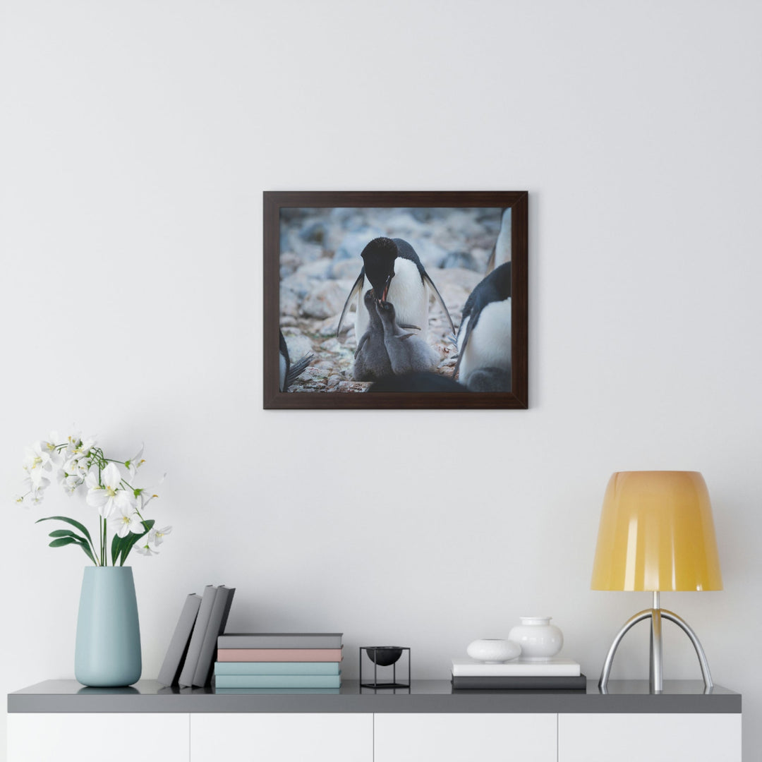 Feeding Time - Framed Print - Visiting This World