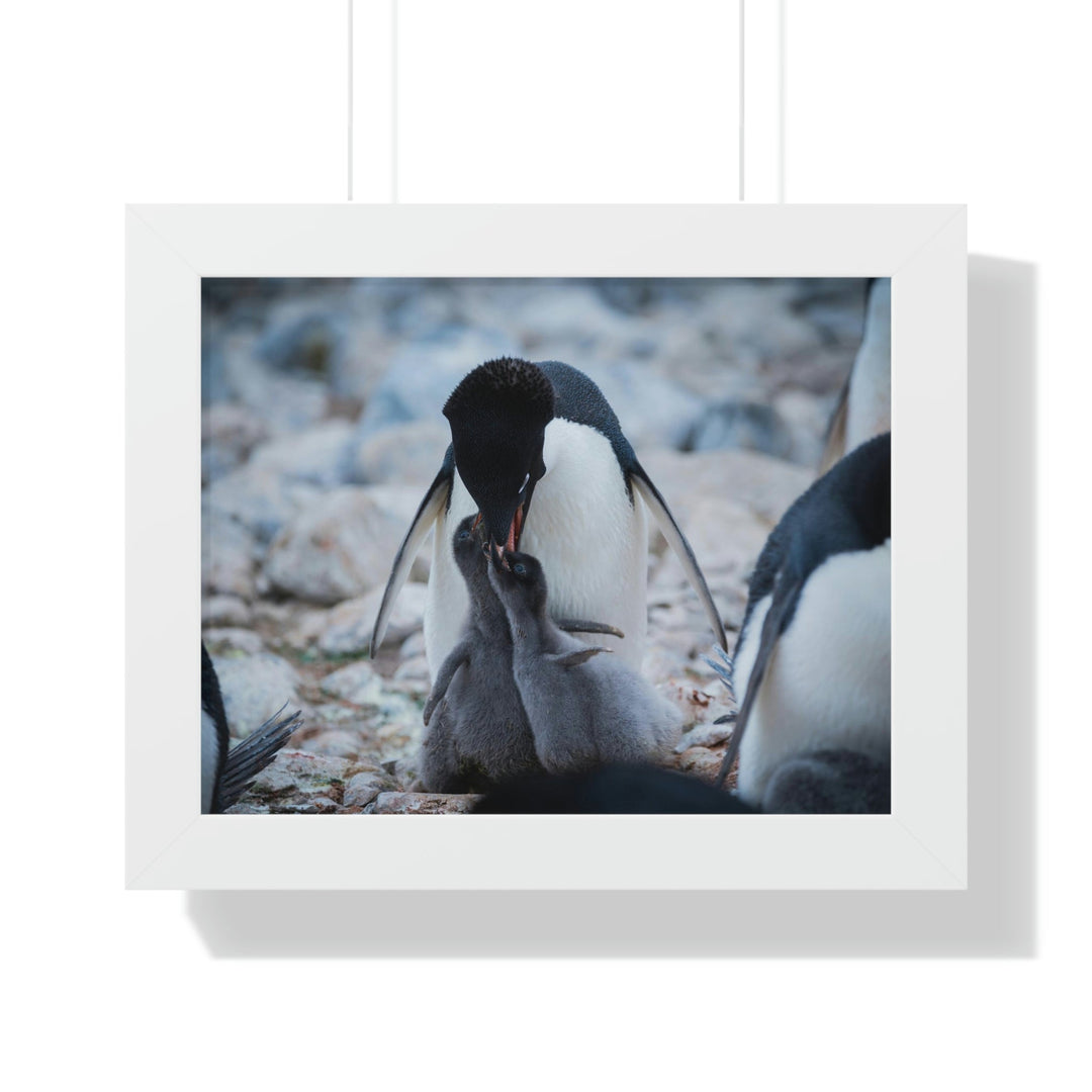 Feeding Time - Framed Print - Visiting This World