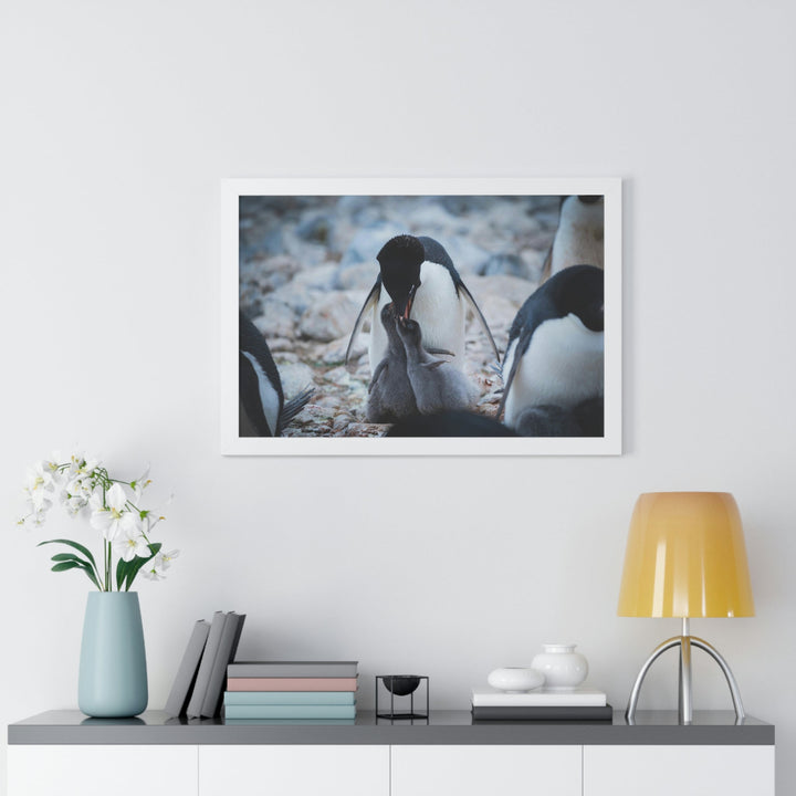 Feeding Time - Framed Print - Visiting This World