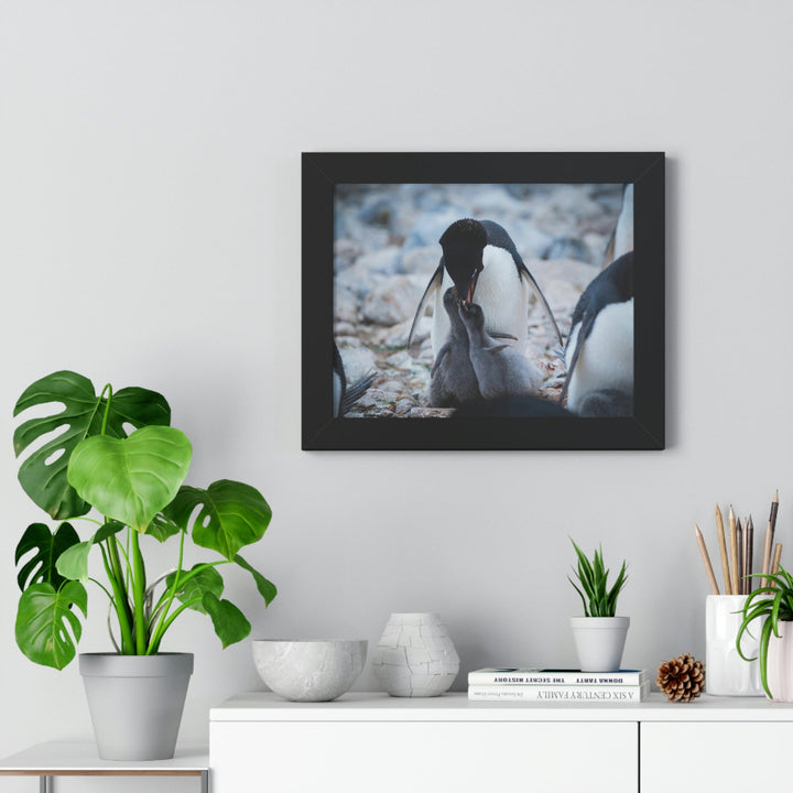 Feeding Time - Framed Print - Visiting This World