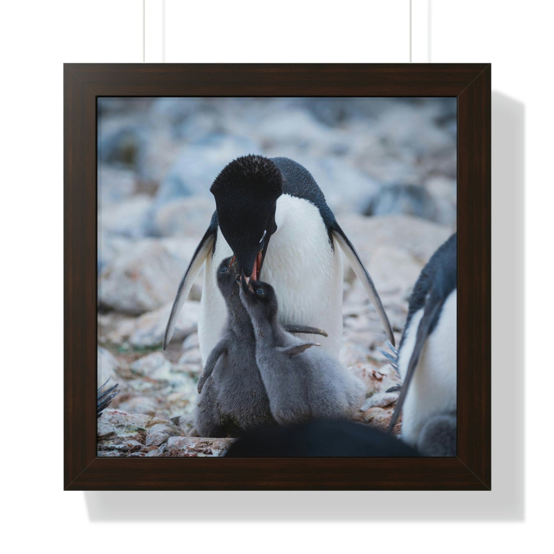 Feeding Time - Framed Print - Visiting This World