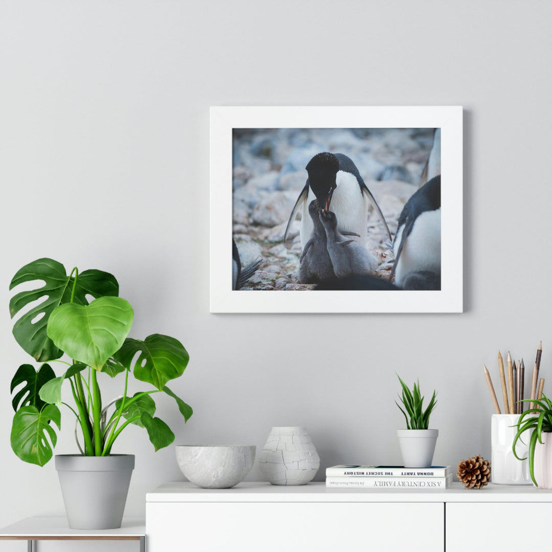 Feeding Time - Framed Print - Visiting This World