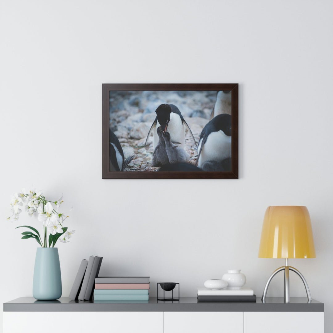 Feeding Time - Framed Print - Visiting This World