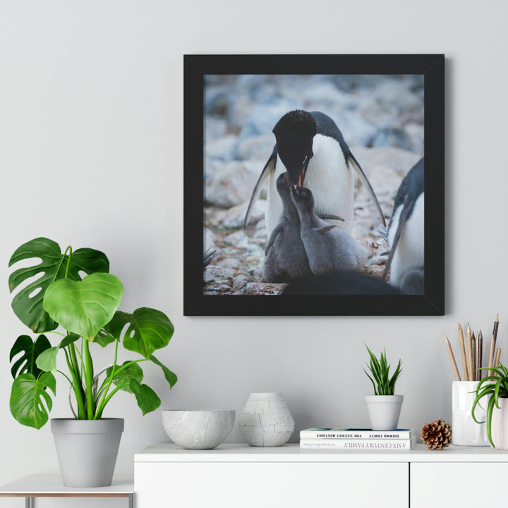 Feeding Time - Framed Print - Visiting This World