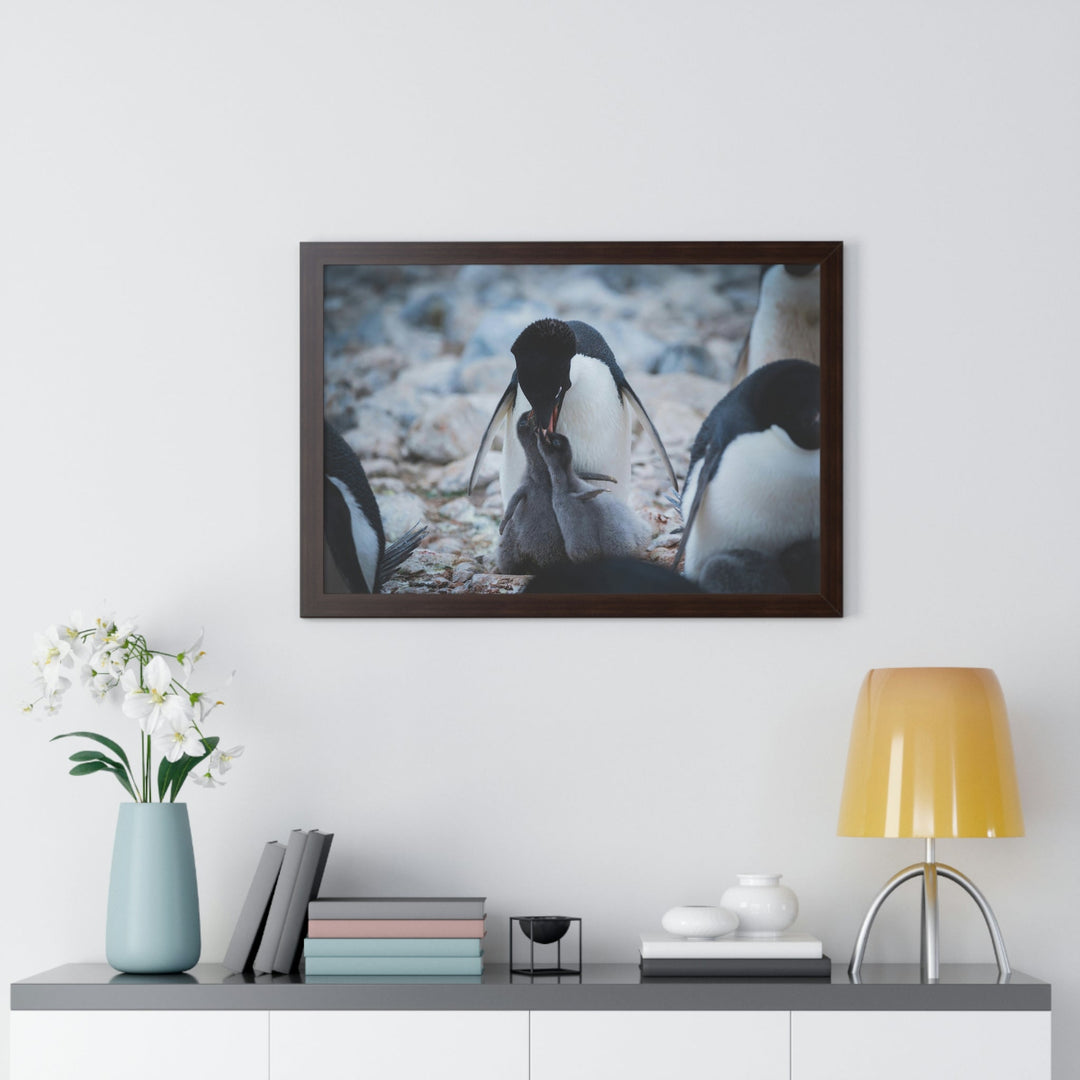 Feeding Time - Framed Print - Visiting This World