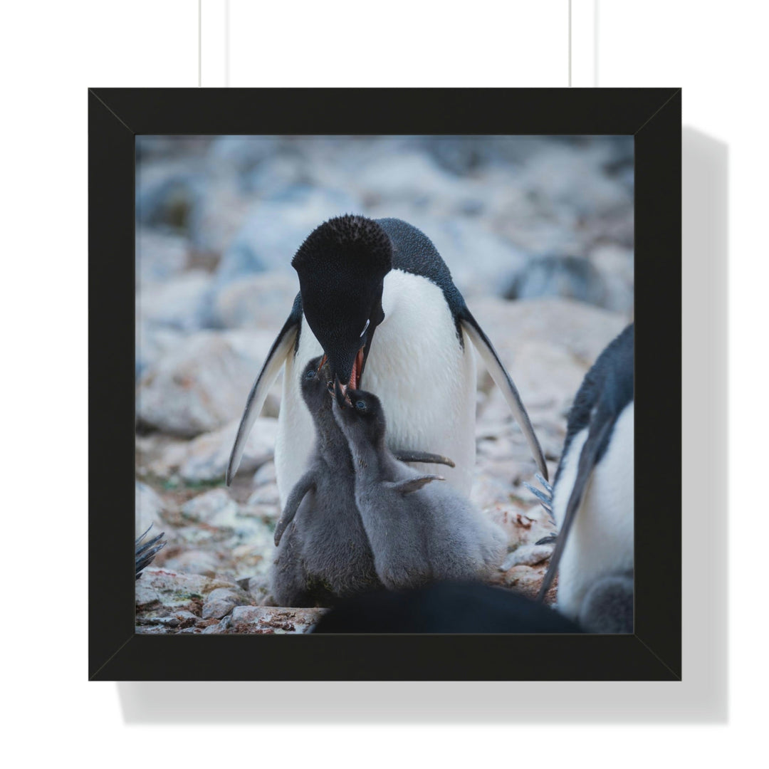 Feeding Time - Framed Print - Visiting This World