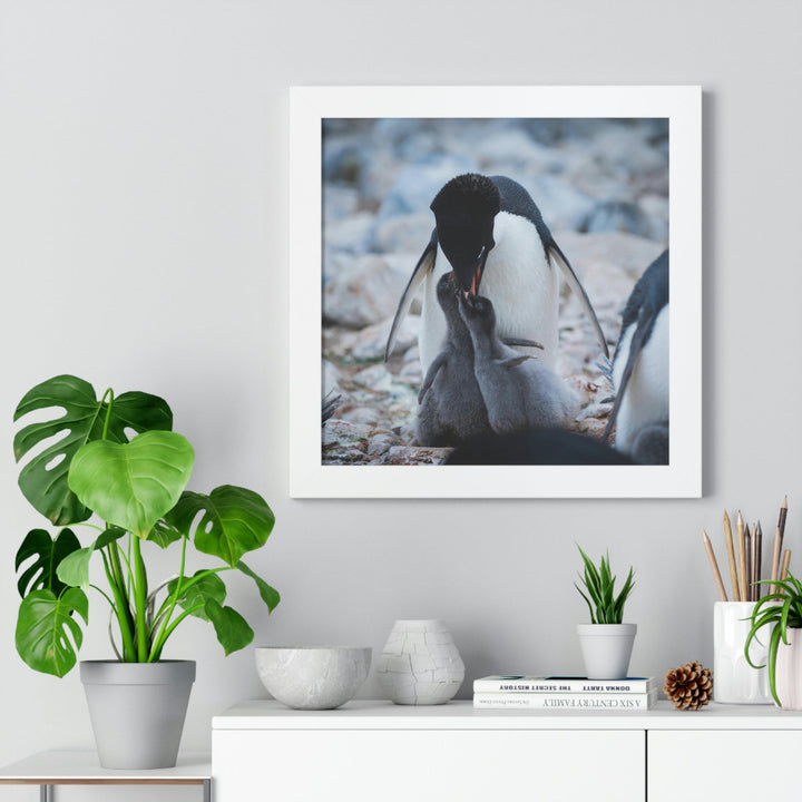 Feeding Time - Framed Print - Visiting This World