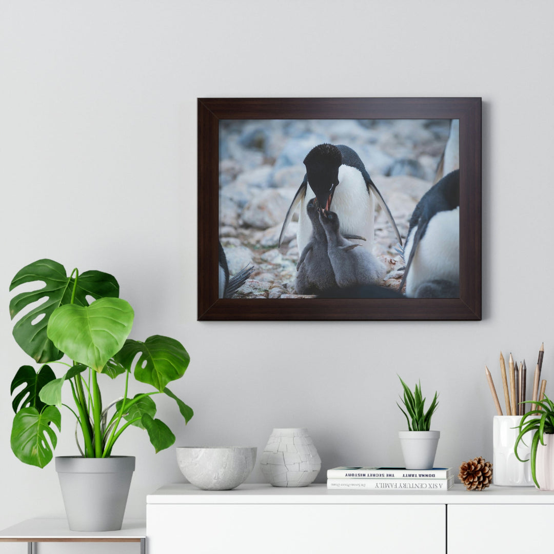 Feeding Time - Framed Print - Visiting This World