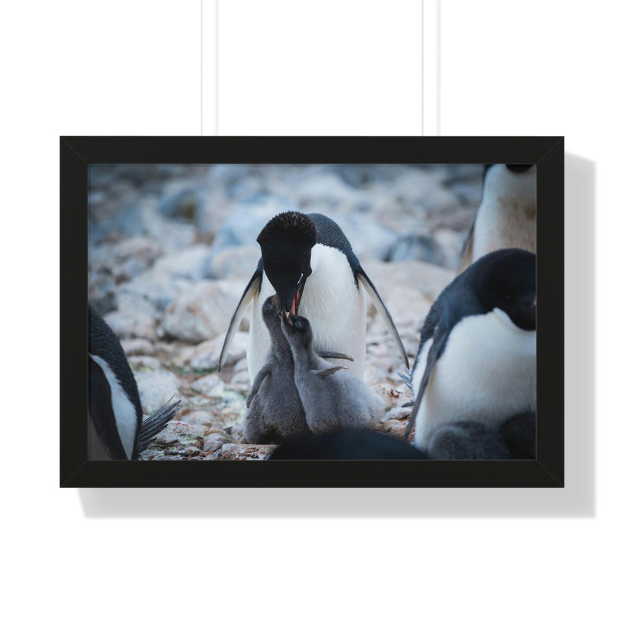 Feeding Time - Framed Print - Visiting This World