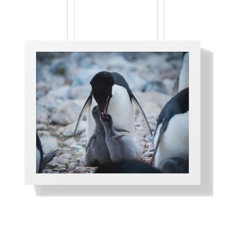 Feeding Time - Framed Print - Visiting This World