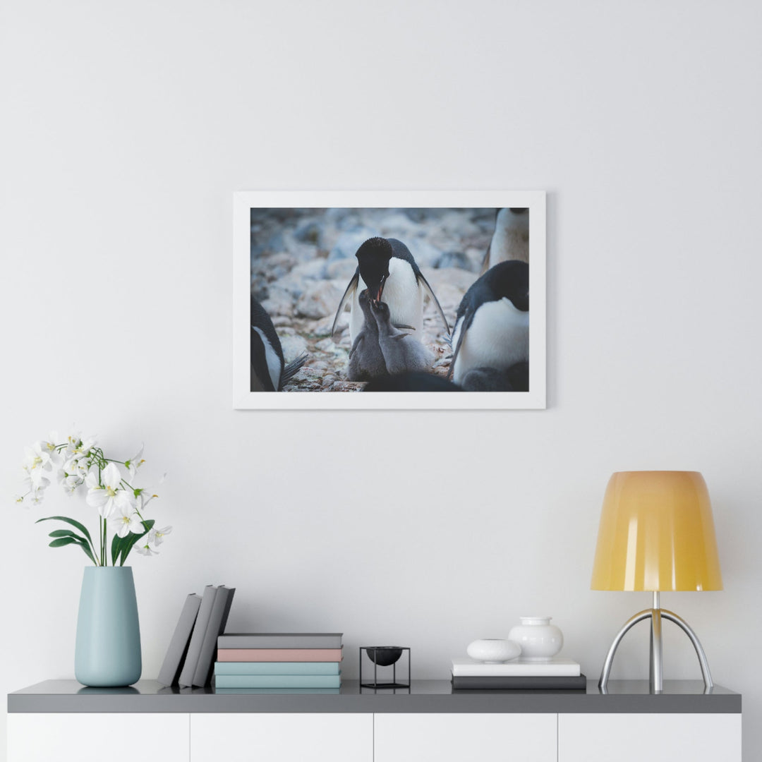 Feeding Time - Framed Print - Visiting This World