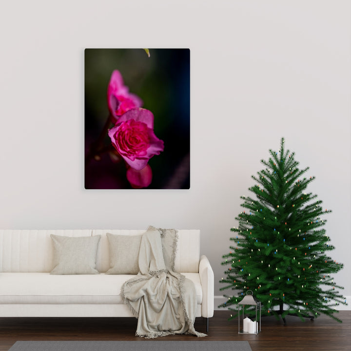 Hybrid Tea Lily - Canvas