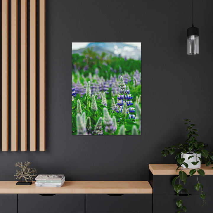 Glowing Lupin with Mountains - Canvas