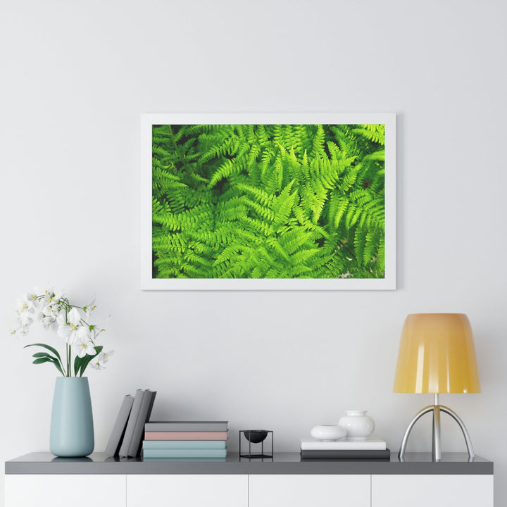 Ferns, Ferns, Ferns - Framed Print - Visiting This World