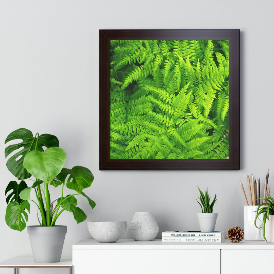 Ferns, Ferns, Ferns - Framed Print - Visiting This World