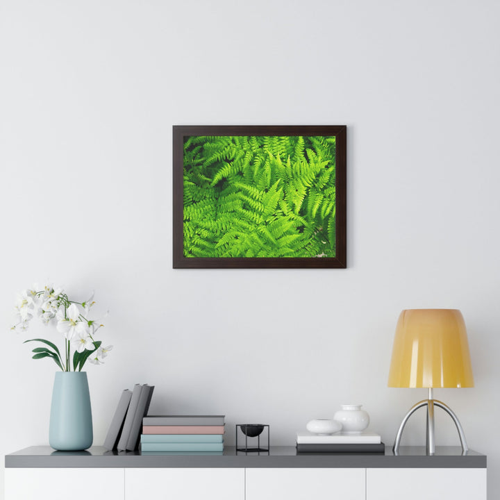 Ferns, Ferns, Ferns - Framed Print - Visiting This World