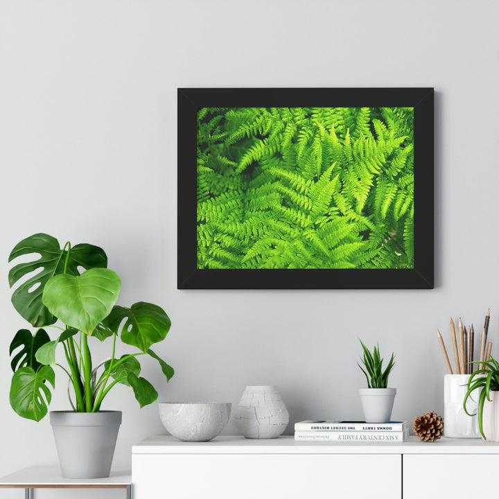 Ferns, Ferns, Ferns - Framed Print - Visiting This World