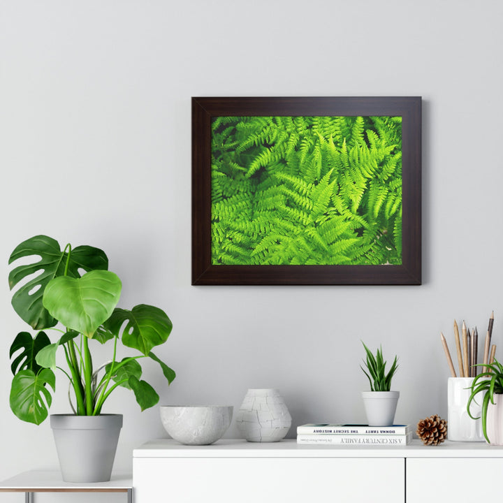 Ferns, Ferns, Ferns - Framed Print - Visiting This World