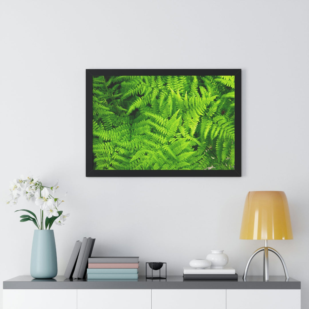 Ferns, Ferns, Ferns - Framed Print - Visiting This World