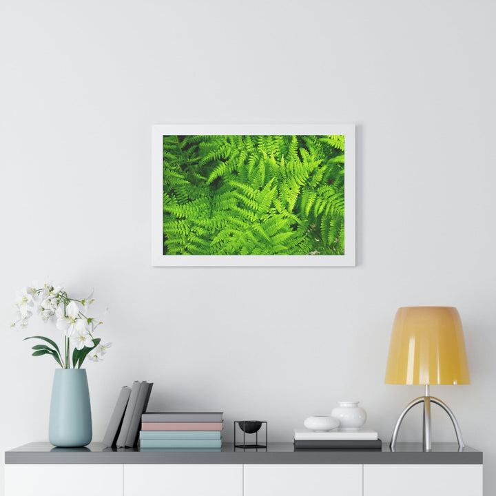 Ferns, Ferns, Ferns - Framed Print - Visiting This World