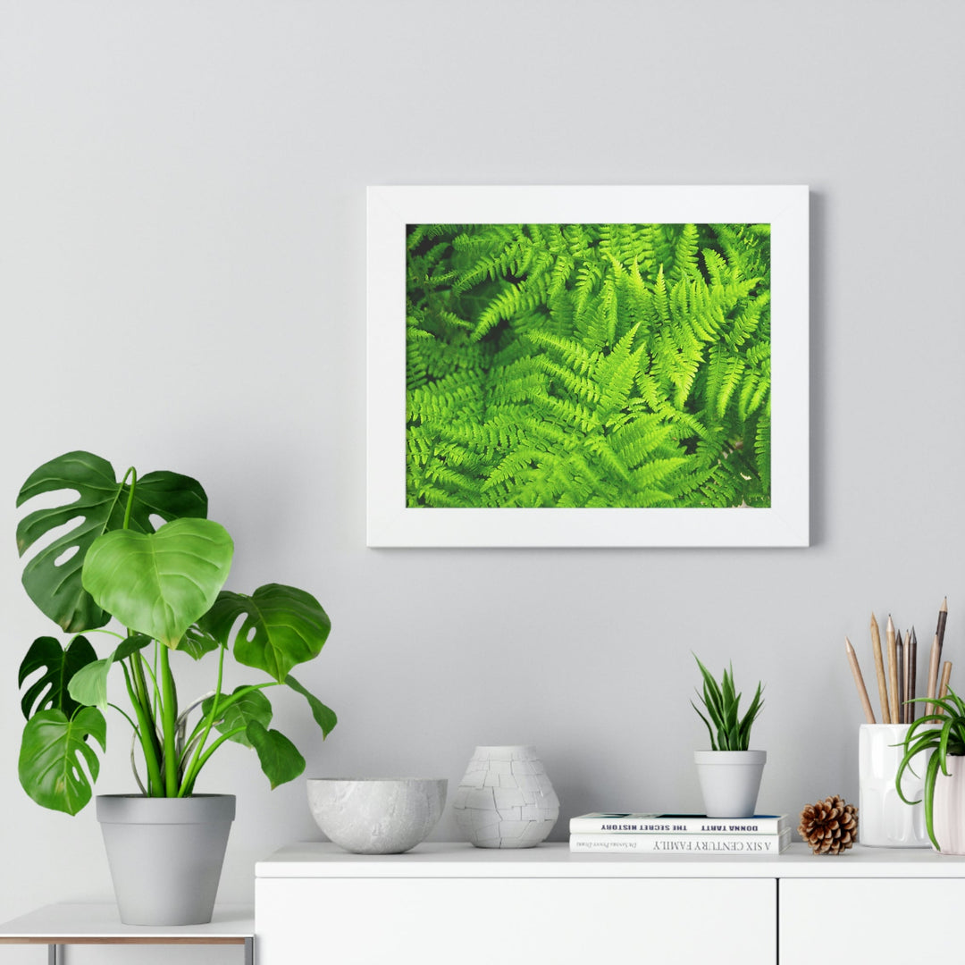 Ferns, Ferns, Ferns - Framed Print - Visiting This World