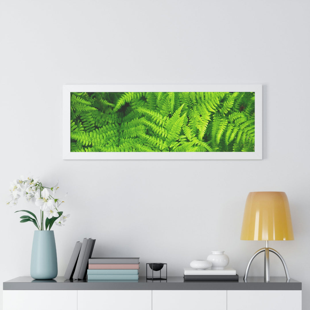 Ferns, Ferns, Ferns - Framed Print - Visiting This World