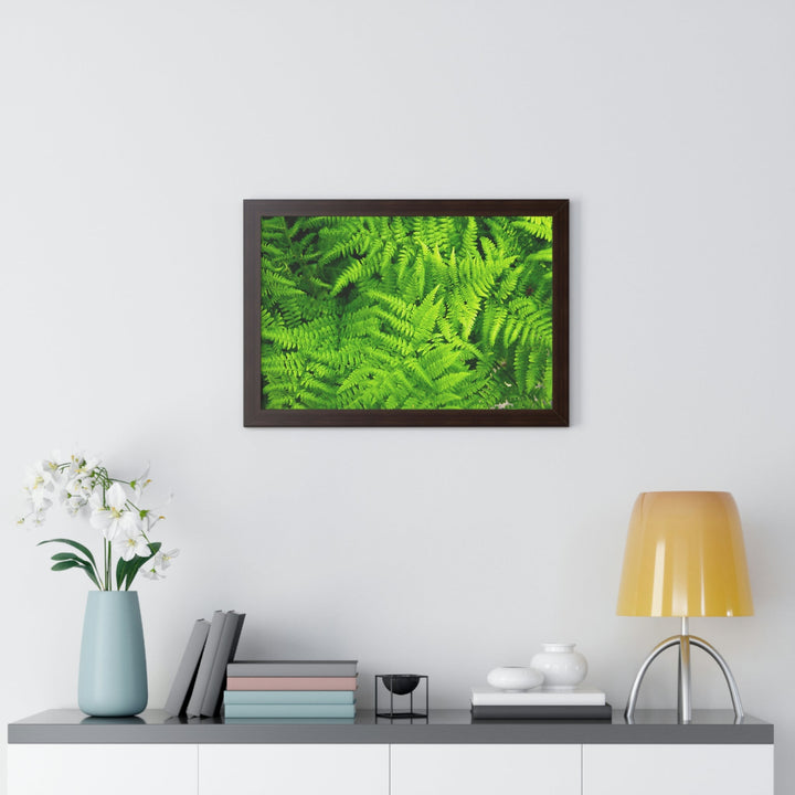 Ferns, Ferns, Ferns - Framed Print - Visiting This World