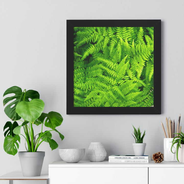 Ferns, Ferns, Ferns - Framed Print - Visiting This World