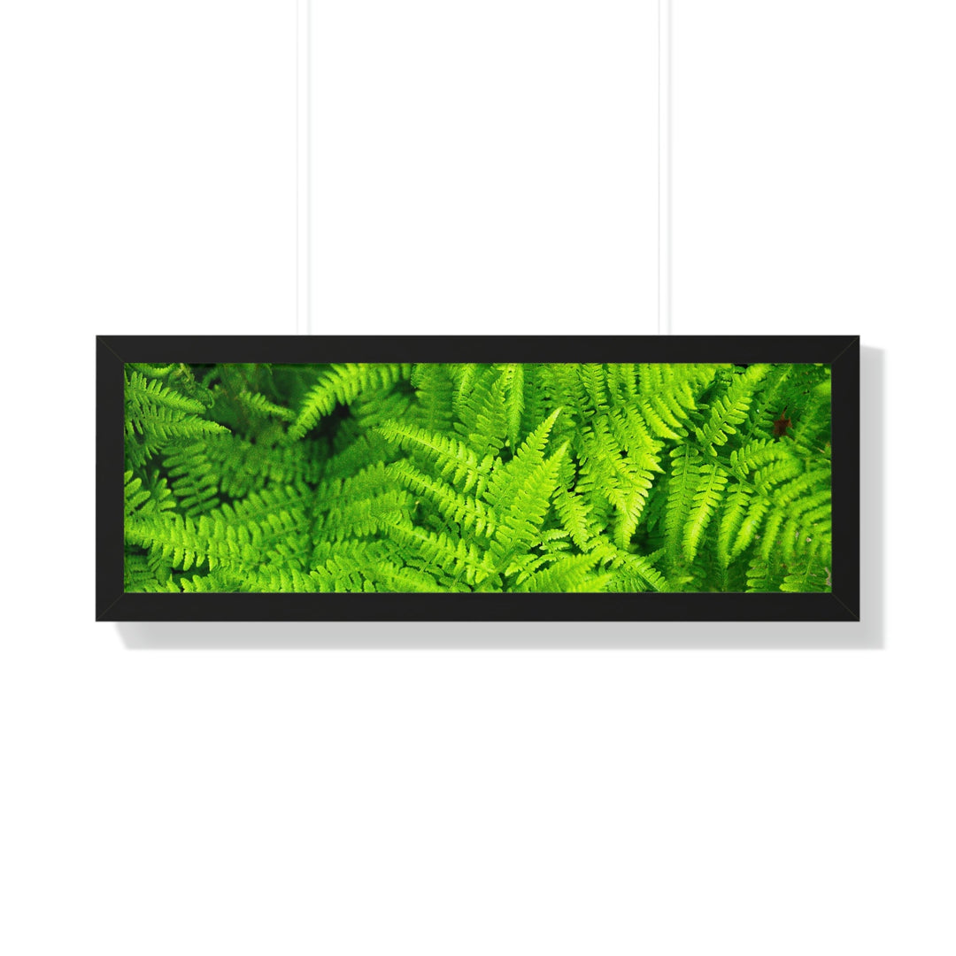 Ferns, Ferns, Ferns - Framed Print - Visiting This World