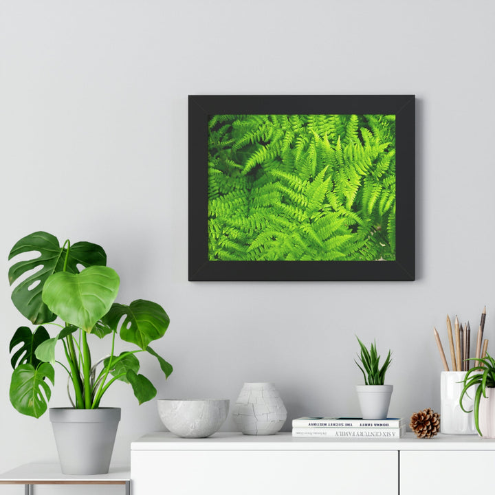 Ferns, Ferns, Ferns - Framed Print - Visiting This World