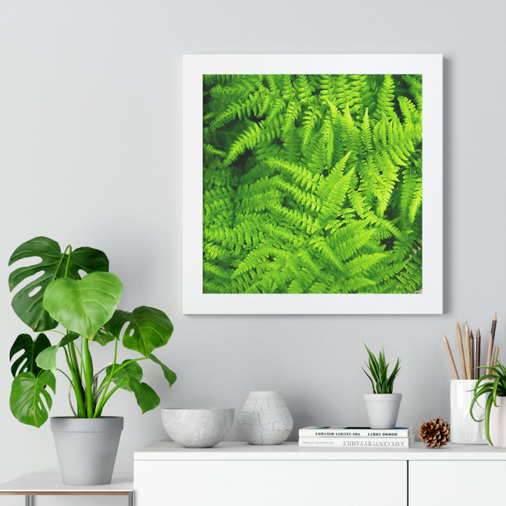 Ferns, Ferns, Ferns - Framed Print - Visiting This World