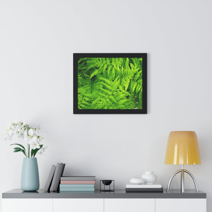 Ferns, Ferns, Ferns - Framed Print - Visiting This World