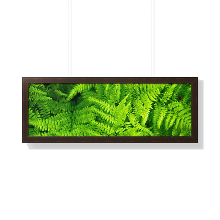 Ferns, Ferns, Ferns - Framed Print - Visiting This World