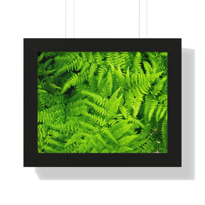 Ferns, Ferns, Ferns - Framed Print - Visiting This World